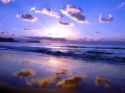 Wallpaper Nature on Nature Wallpaper Hd 2011 Photography