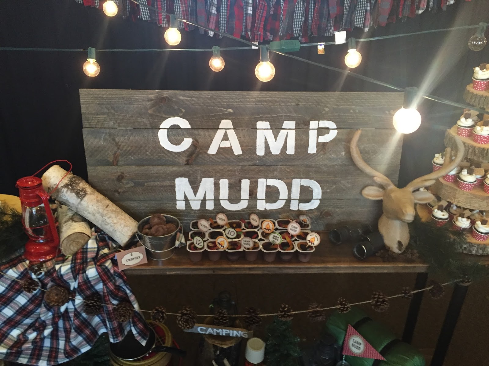 NatalieKMudd: Camp Theme Birthday Party