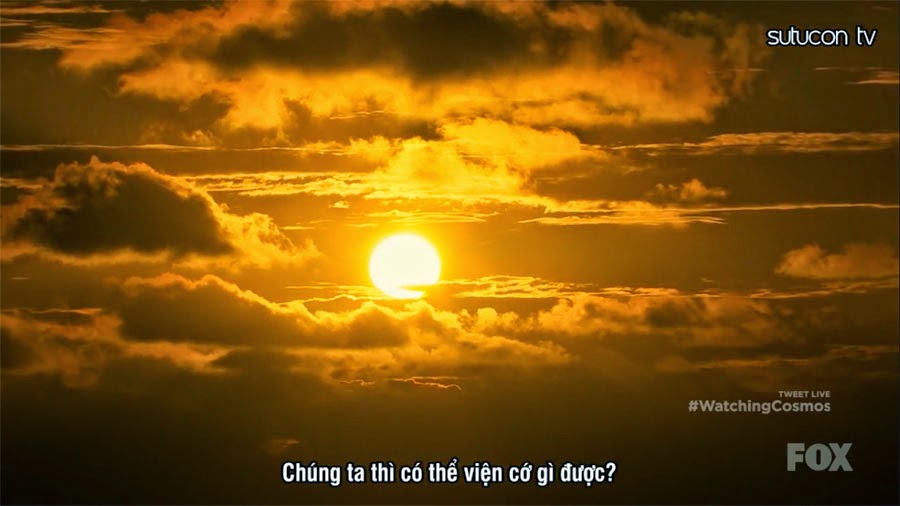 Jackie Brown - Wikipedia