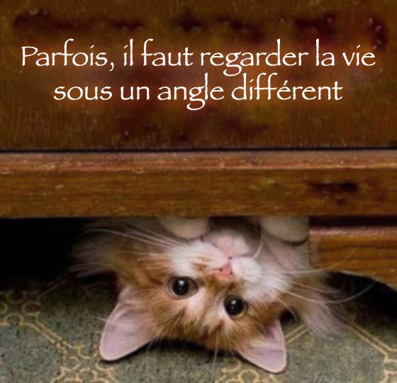 Citations option bonheur Citation en image sur la vie
