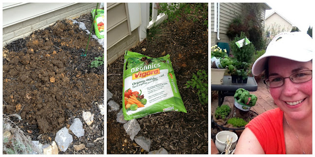 Organic, Edible Gardening, Basil, Rosemary, Strawberries, Mint