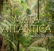 Capa do Filme Mata Atlântica e Os Ciclos da Vida (Nacional) Baixe imagem de Mata Atlântica e Os Ciclos da Vida (Nacional) sem Torrent