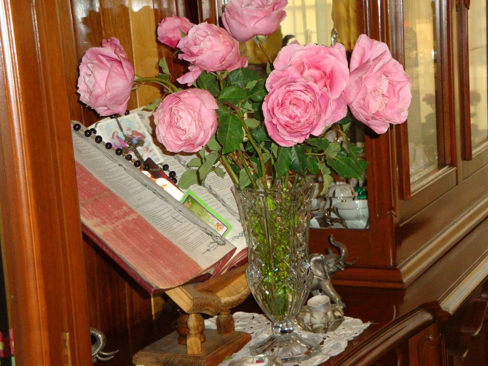 Nature and walks Pink A flower for cancer