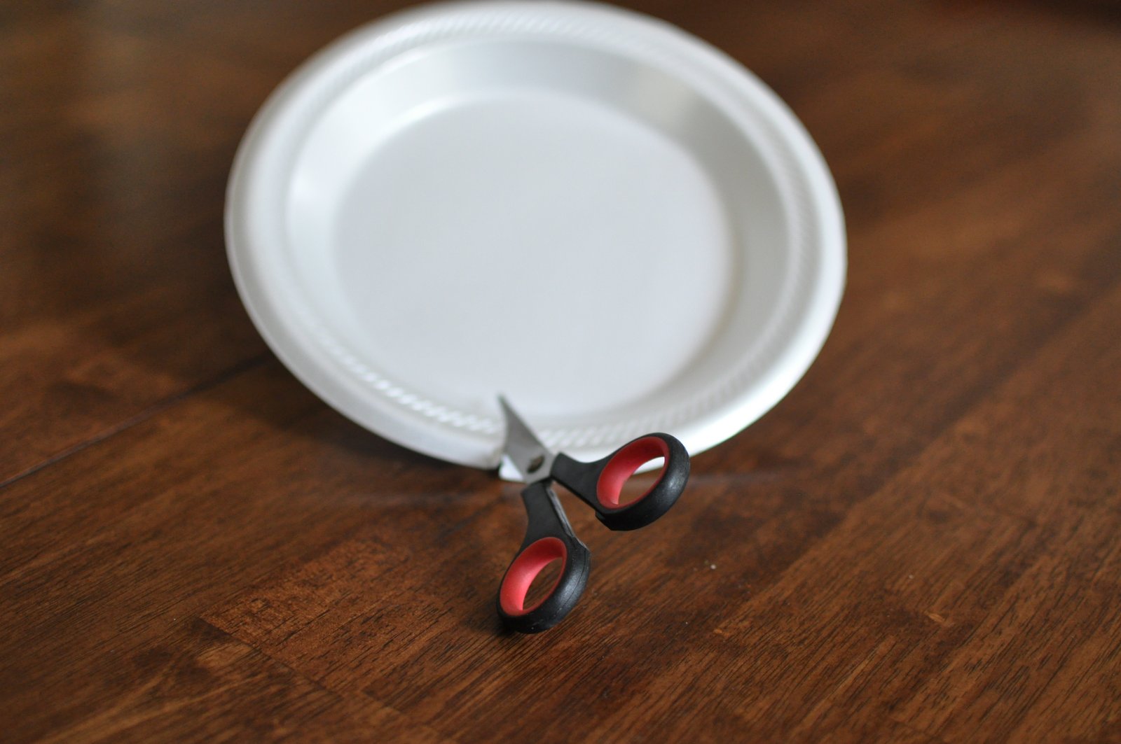 Remaining an Artist Make a Stamp from a Styrofoam Plate