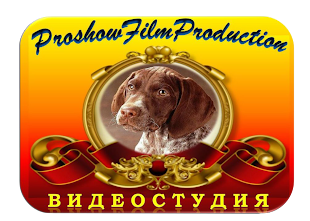 Студия ProShowFilm   Production