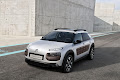 C4 Cactus