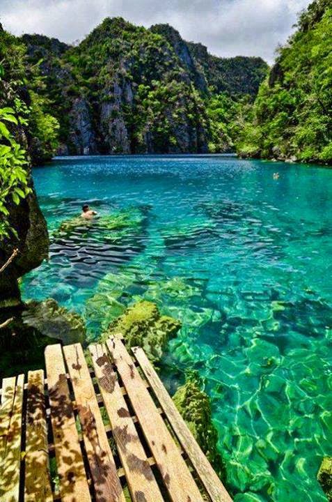 Kayangan Lake, Coron islands, Palawan, Philippines Kayangan Lake, Coron islands, Palawan, Philippines