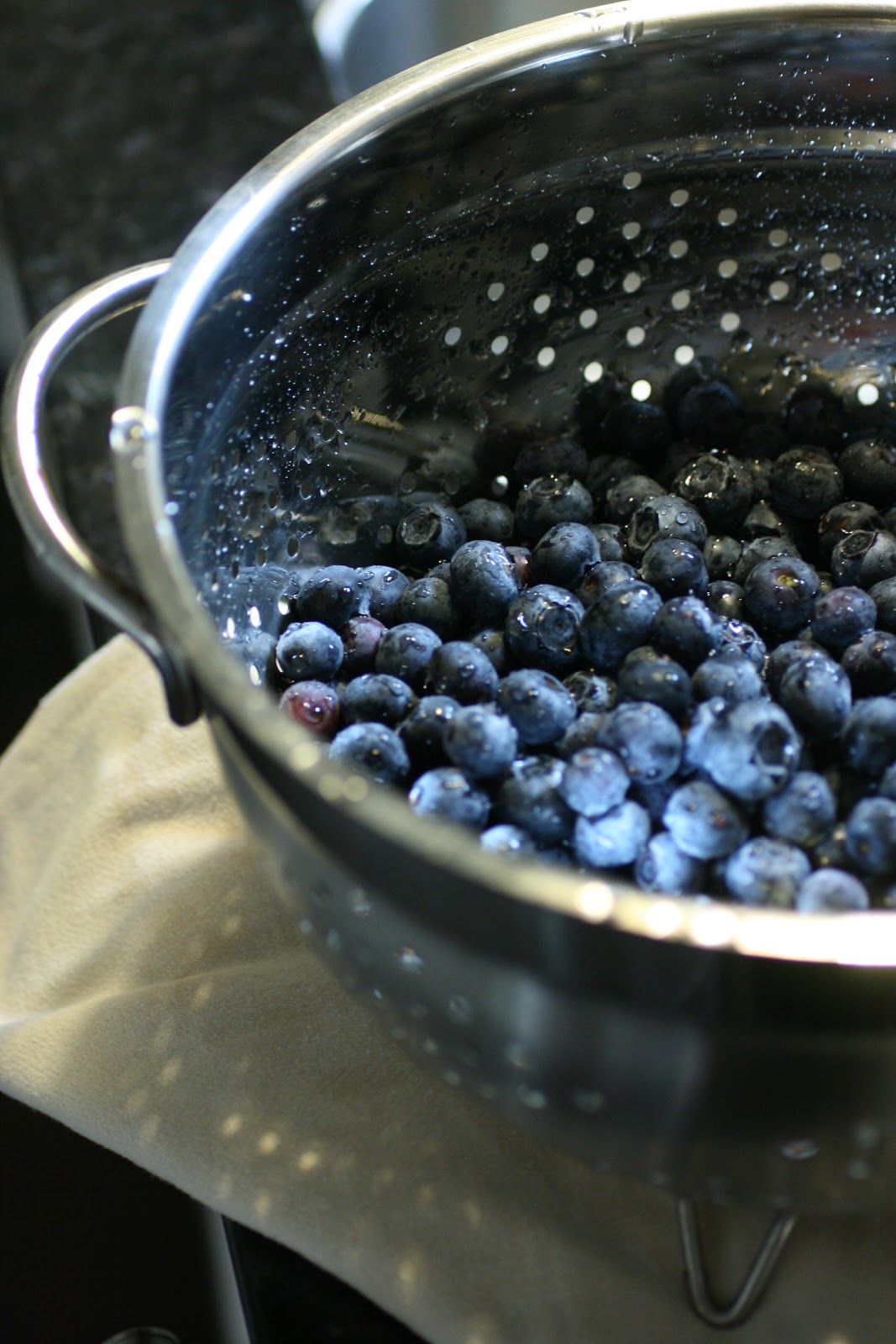 The Seasonal Plate Texas Blackberry and Blueberry Season