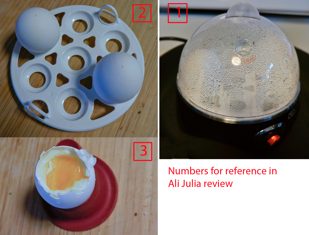 Ali Julia Product Reviews Product review DBTech Electric Egg Cooker