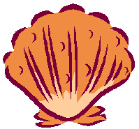 animated seashell