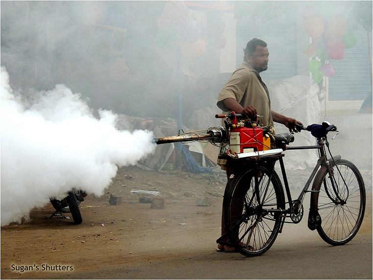 emphoka, photo of the day, Sugan Raj Bharathi, Nikon Coolpix P510 emphoka, photo of the day, Sugan Raj Bharathi, Nikon Coolpix P510