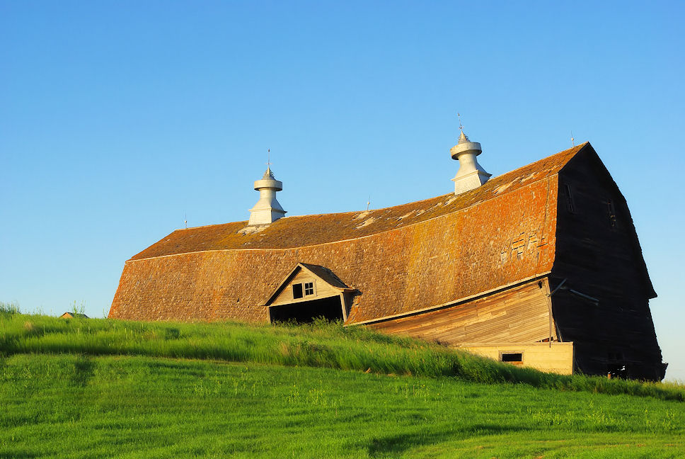 Living Timelessly Cut Knife Archives