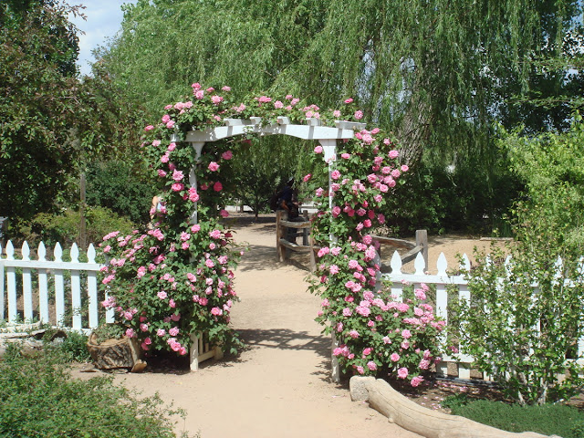 Organic Garden Dreams: Albuquerque Botanical Garden Part II