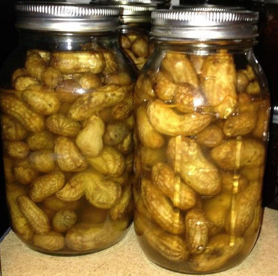 Canning Green Peanuts Kinda like Hot boil peanuts! Canning Homemade!