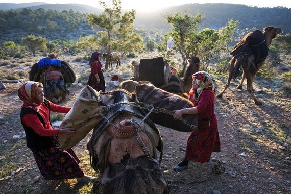 turkcusiyasetname TÜRKLERİN ASLIYÖRÜKLÜK (2ö)