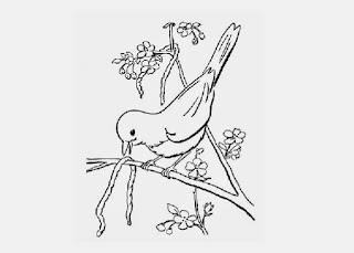 Birds coloring page | Free Coloring Pages and Coloring Books for Kids