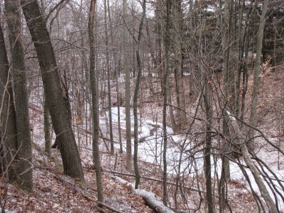 icy creek