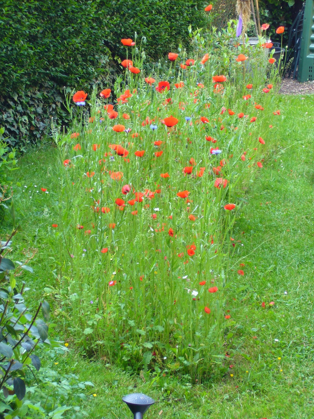 rencontre astronomique du printemps 2013