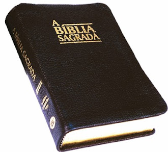 Consulte agora a Bíblia!