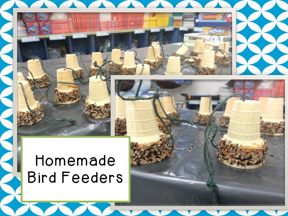 Second Grade Nest Making Homemade Bird Feeders for Earth Day