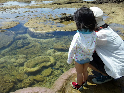 体験/観光　美ら海　塩作り　夏休みの宿題　自由研究のテーマ　小学生