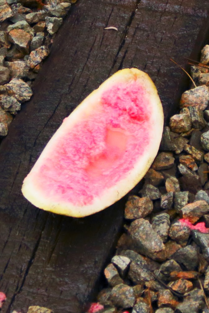 what's in a word? When Good Fruit Goes Bad