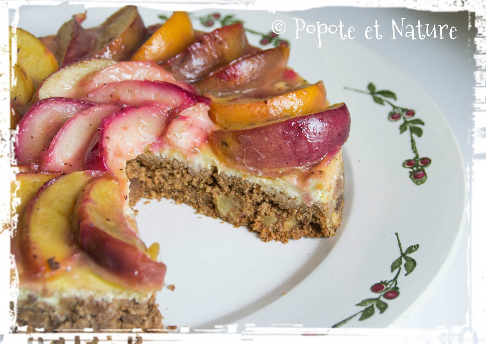 © Popote et Nature - Cheesecake aux deux nectarines vanillées sur fond de muffins