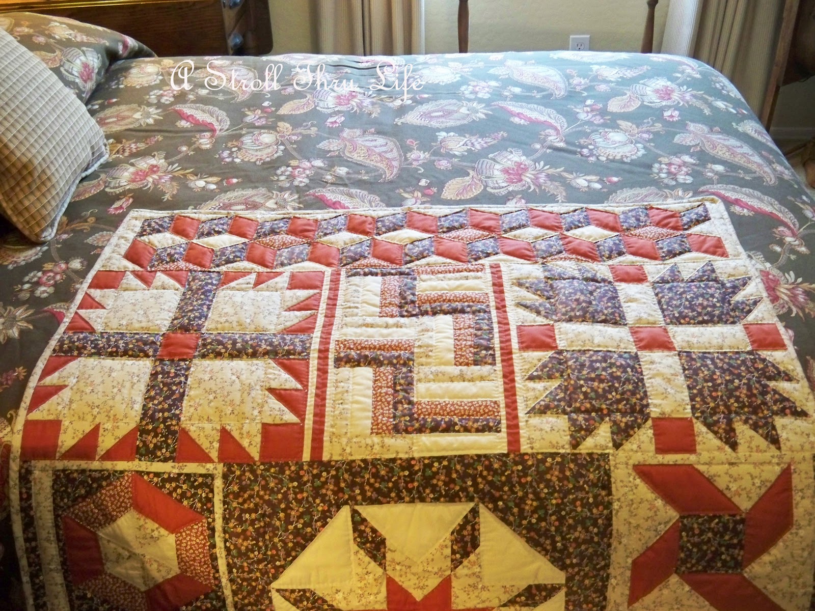 A Stroll Thru Life Vintage Quilt