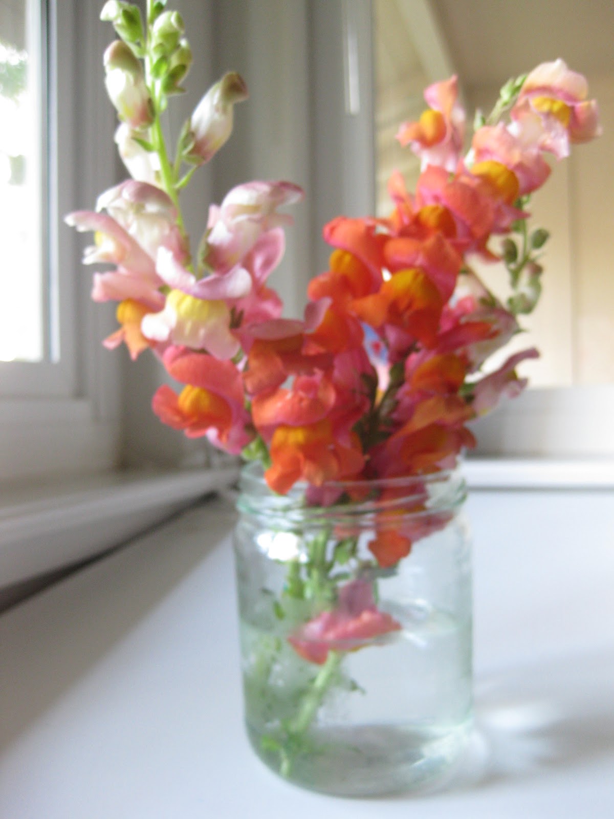 Food and Floras Snapdragons and Mason Jars