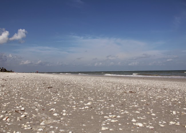set sail to sanibel, florida set sail to sanibel, florida