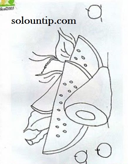 Solountip.com: Moldes de frutas para pintar en tela