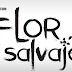 Roberto Manrique y Mónica Spear son los... ¡protagonistas de "Flor Salvaje"!
