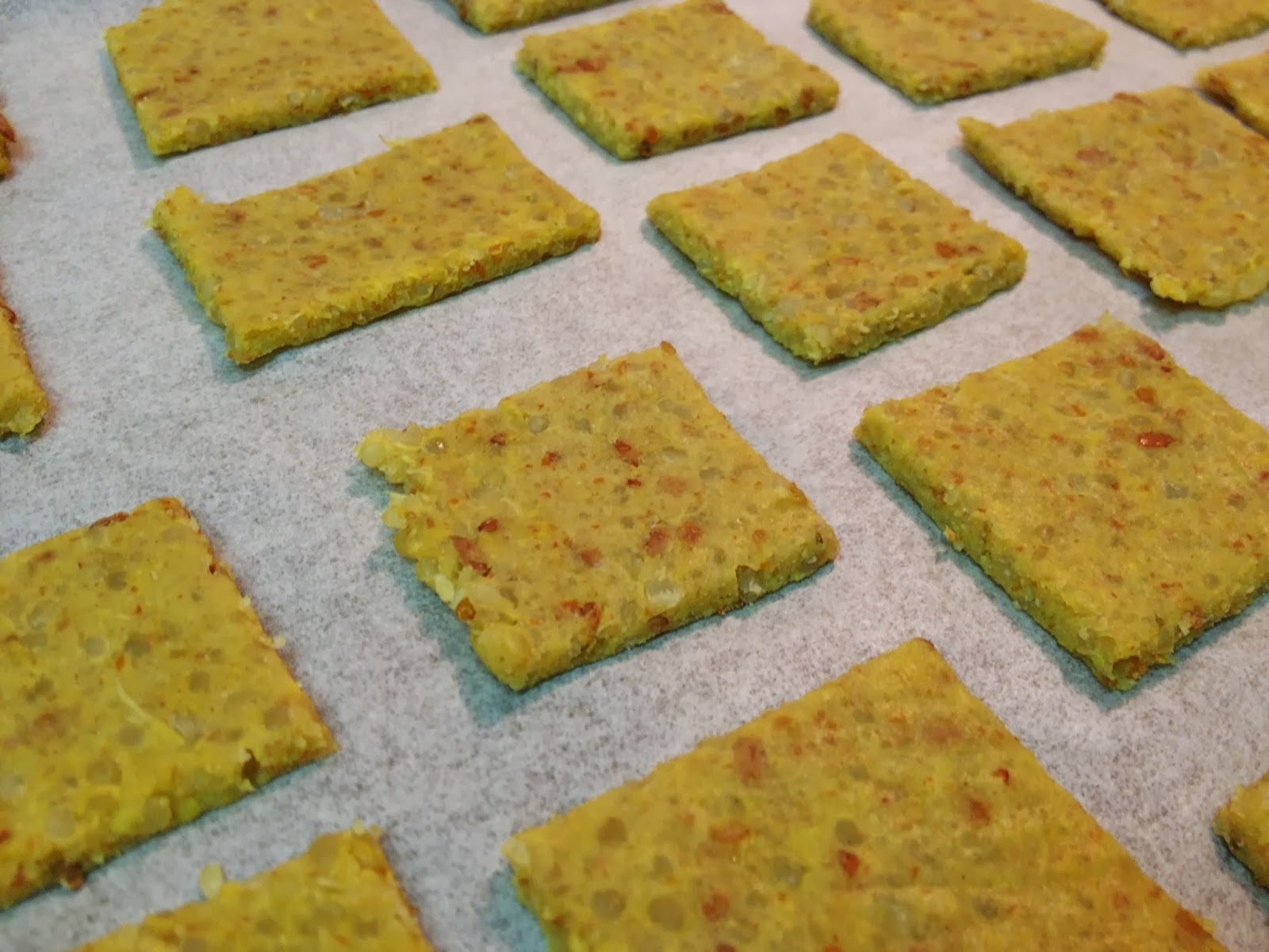 The Lifestyle Notebook Healthy Cheesy Quinoa Flax Crackers