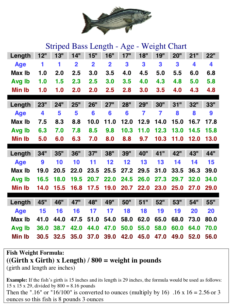 Smallmouth Bass Size Chart