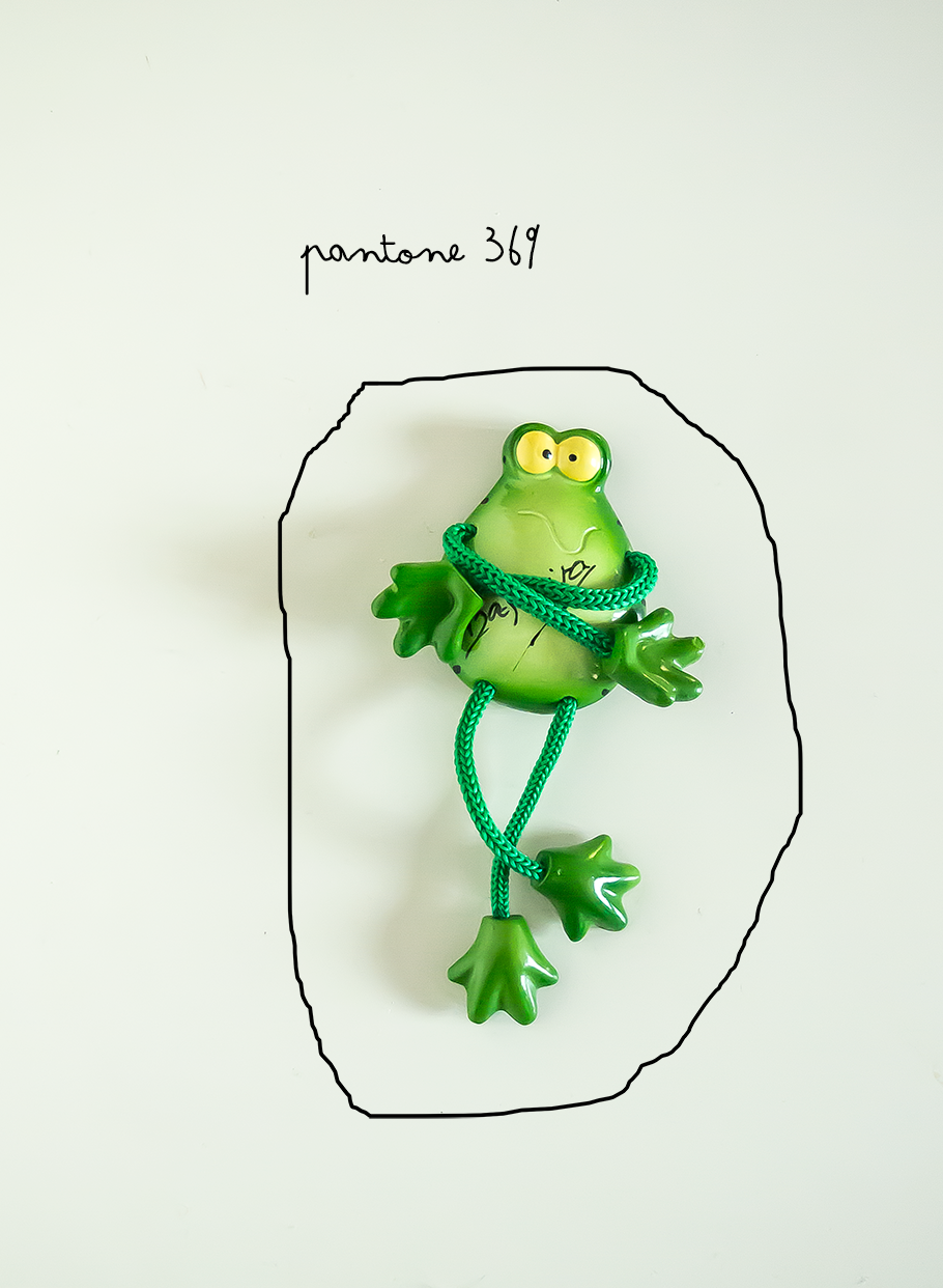 Hoy Compartimos, verde knolling o moodbord de inspiracion pantone