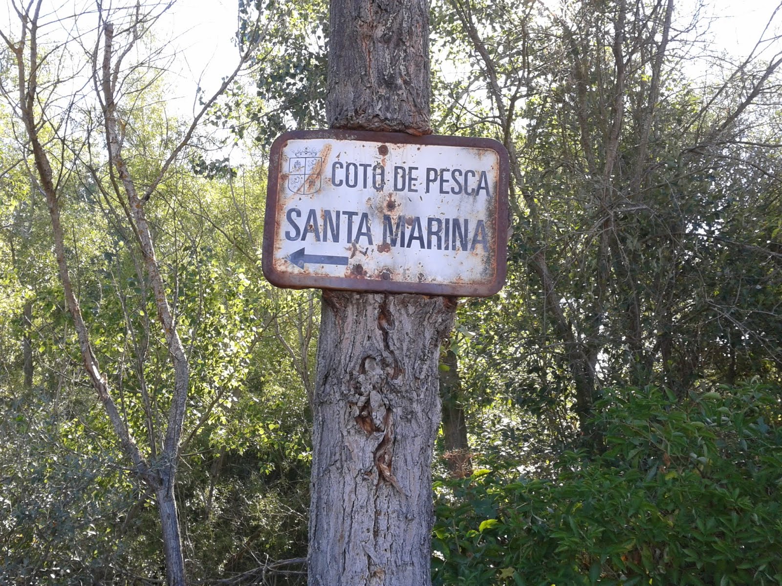 LAS TRUCHAS DE SANTA MARINA DEL REY, Y CASIMIRO.