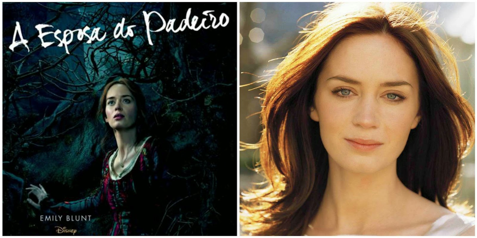 "Caminhos da floresta" a mais nova adaptação dos contos de fadas 6