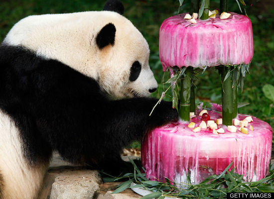 Panda Birthday Party Panda Birthday Party