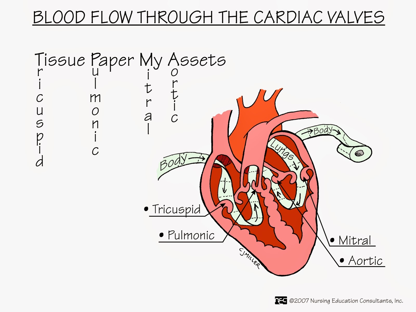 Nurses Notes MS NURSING MNEMONICS