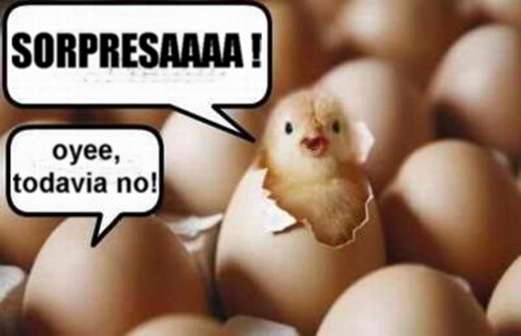 CHISTES DE POLLITOS CHISTES DE HUEVOS : CHISTES Y CHISTECITOS CORTOS CHISTES DE POLLITOS CHISTES DE HUEVOS : CHISTES Y CHISTECITOS CORTOS