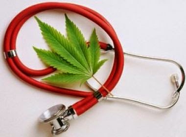 Anvisa conversa sobre maconha óleo de CBD