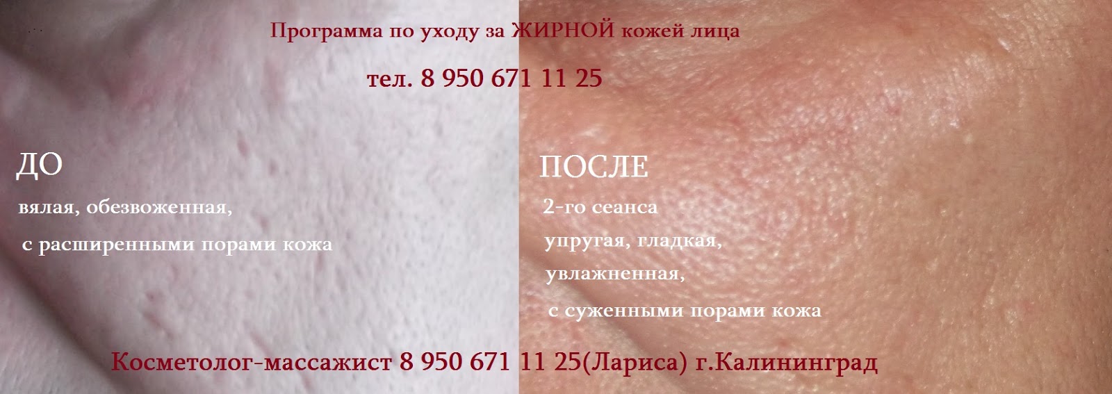 Имидж библиотеки как фактор ее развития Динозавры Зубы картинки (24 фото) скачать обои