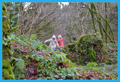 Promenons nous en hiver
