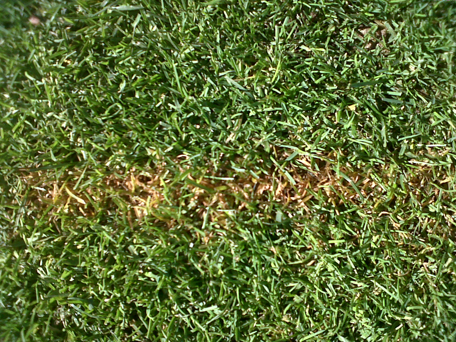 Bobs Shop Bio hydraulic oil leak update