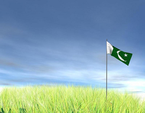 Best Pakistani Flag