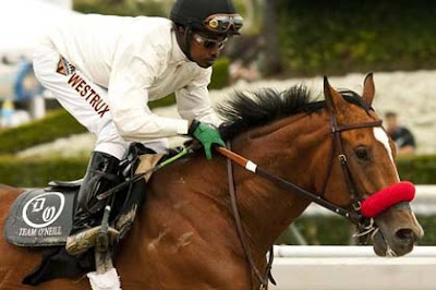 Goldencents, with regular rider Kevin Krigger, a good bet for this year's Kentucky Derby Goldencents, with regular rider Kevin Krigger, a good bet for this year's Kentucky Derby