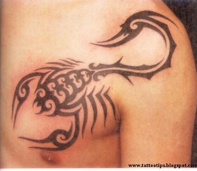 Tribal Scorpion Tattoos on Genre Of Tattoos  Tribal Scorpion Tattoo Designs