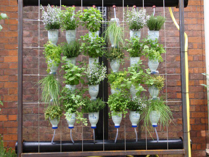 Boutiquedehuerta: Huertas verticales IV- Para la ventana, cuando tenés