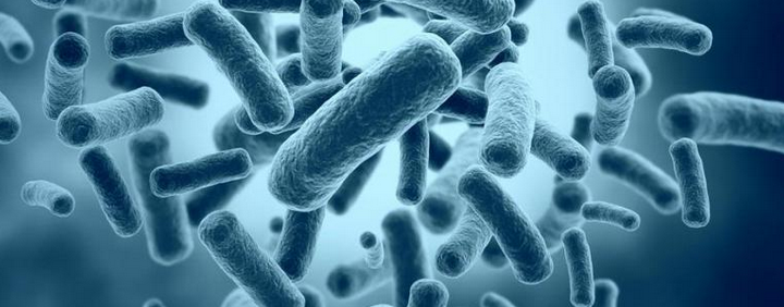 Sistem klasifikasi makhluk hidup Kingdom Monera | Pendidikan dan Ilmu