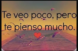 Imagenes con frases para enamorar Imagenes con frases para enamorar